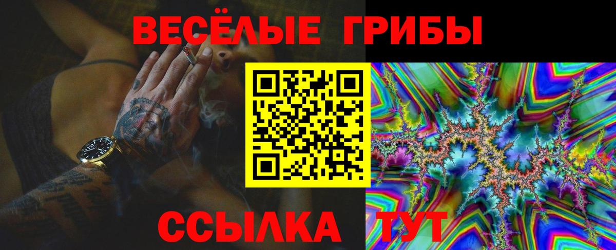 Галлюциногенные грибы мухоморы Гусев