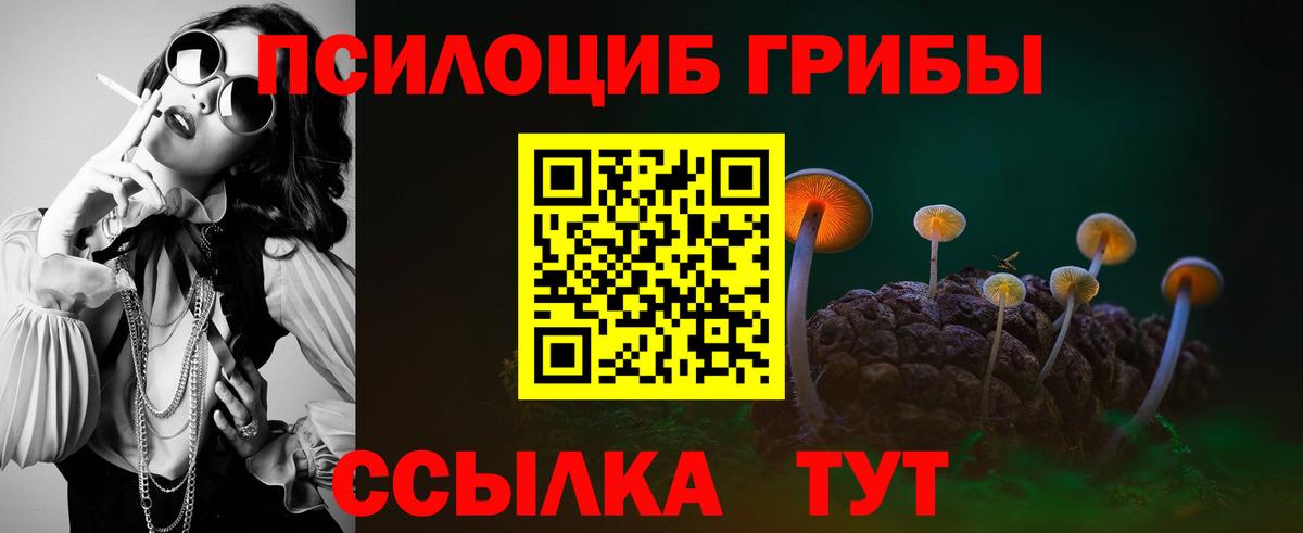 Гусев  Галлюциногенные грибы Psilocybine cubensis  Вход с VPN 
